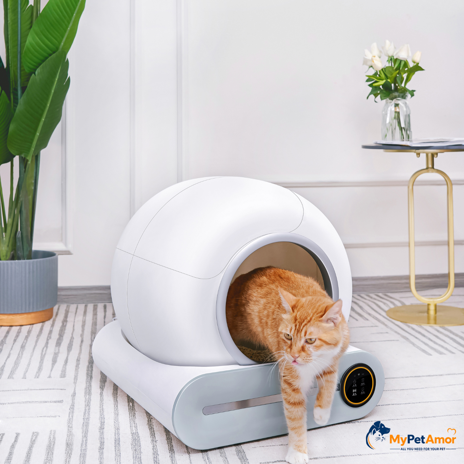 שירותים חכמים לחתולים מבית MY PET AMOR דגם Nina – תמונה 2
